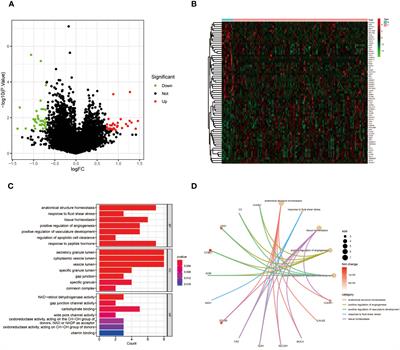 Exploring a novel seven-gene marker and mitochondrial gene TMEM38A for predicting cervical cancer radiotherapy sensitivity using machine learning algorithms